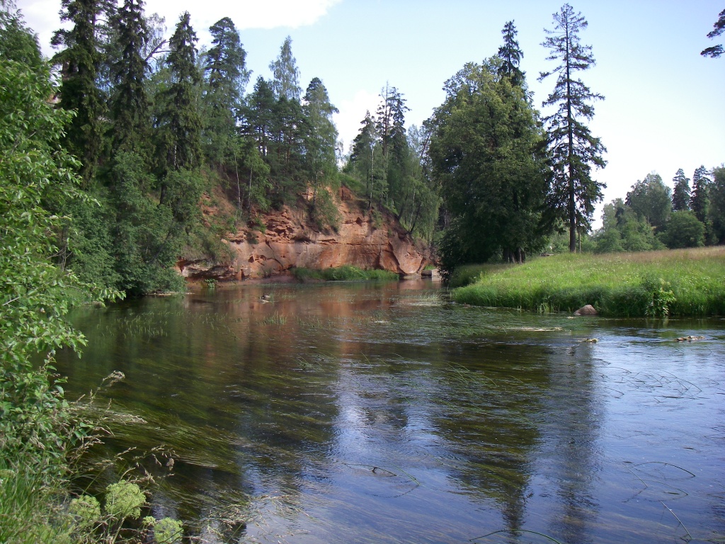 Oredezh_river.jpg