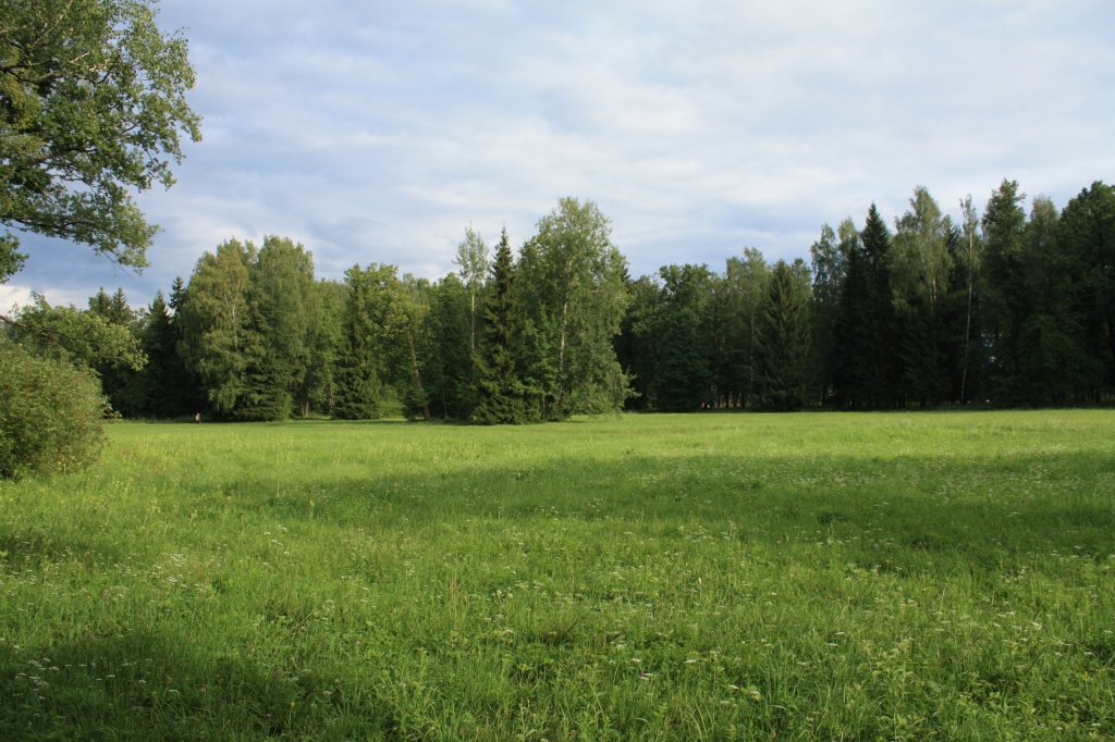 Leningrad_oblast_landscape.jpg